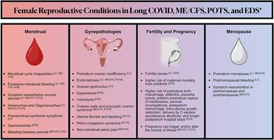Female reproductive health impacts of Long COVID and associated illnesses including ME/CFS, POTS, and connective tissue disorders: a literature review